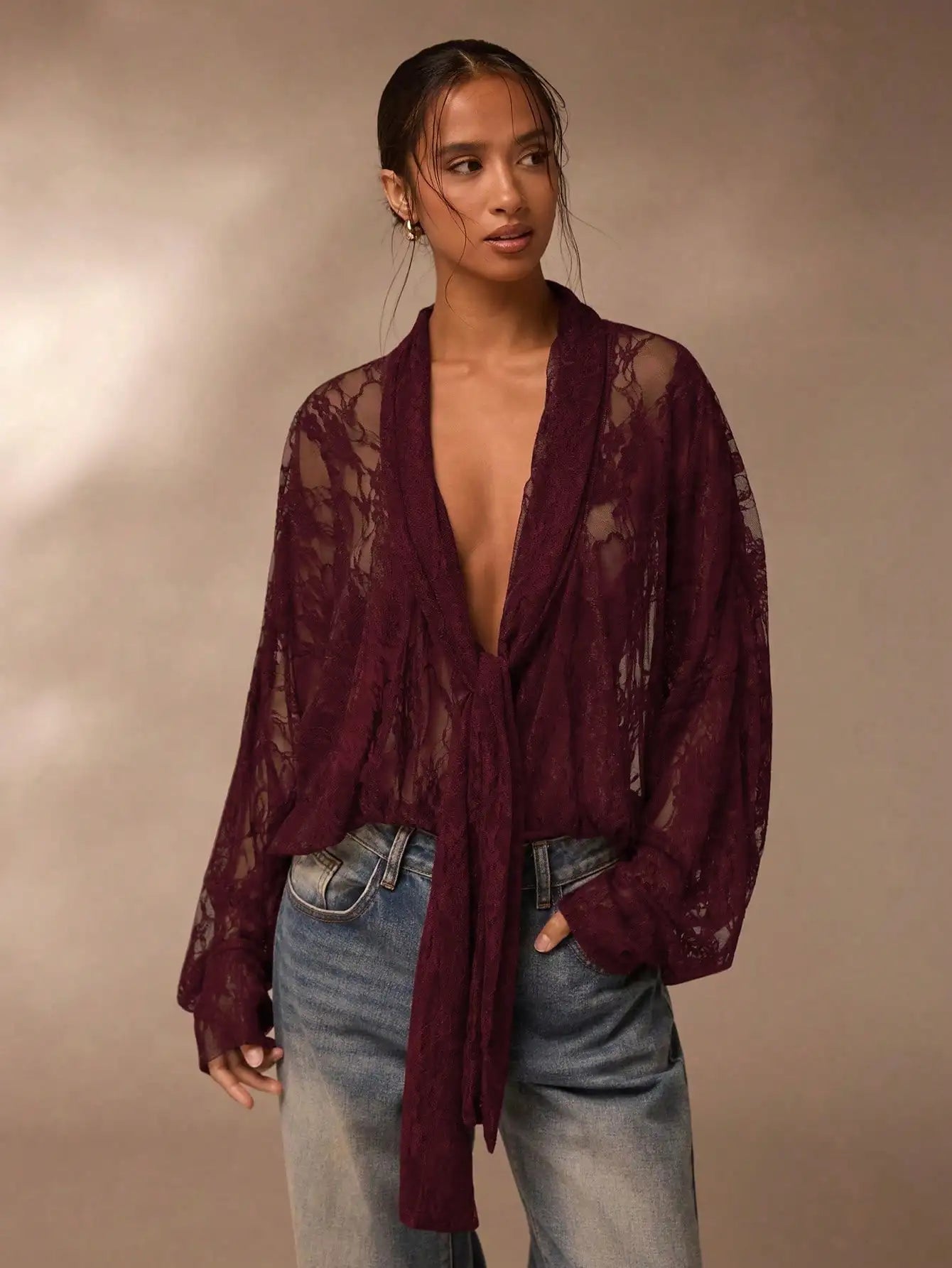 Lace Sheer Blouse for Women V Neck Long Sleeve Top