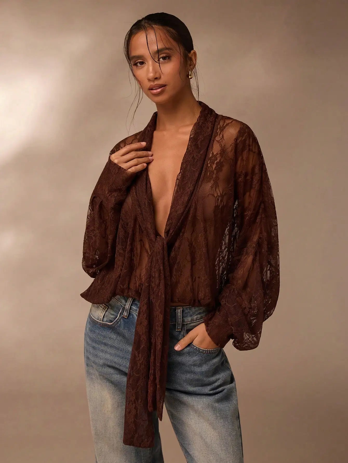 Lace Sheer Blouse for Women V Neck Long Sleeve Top