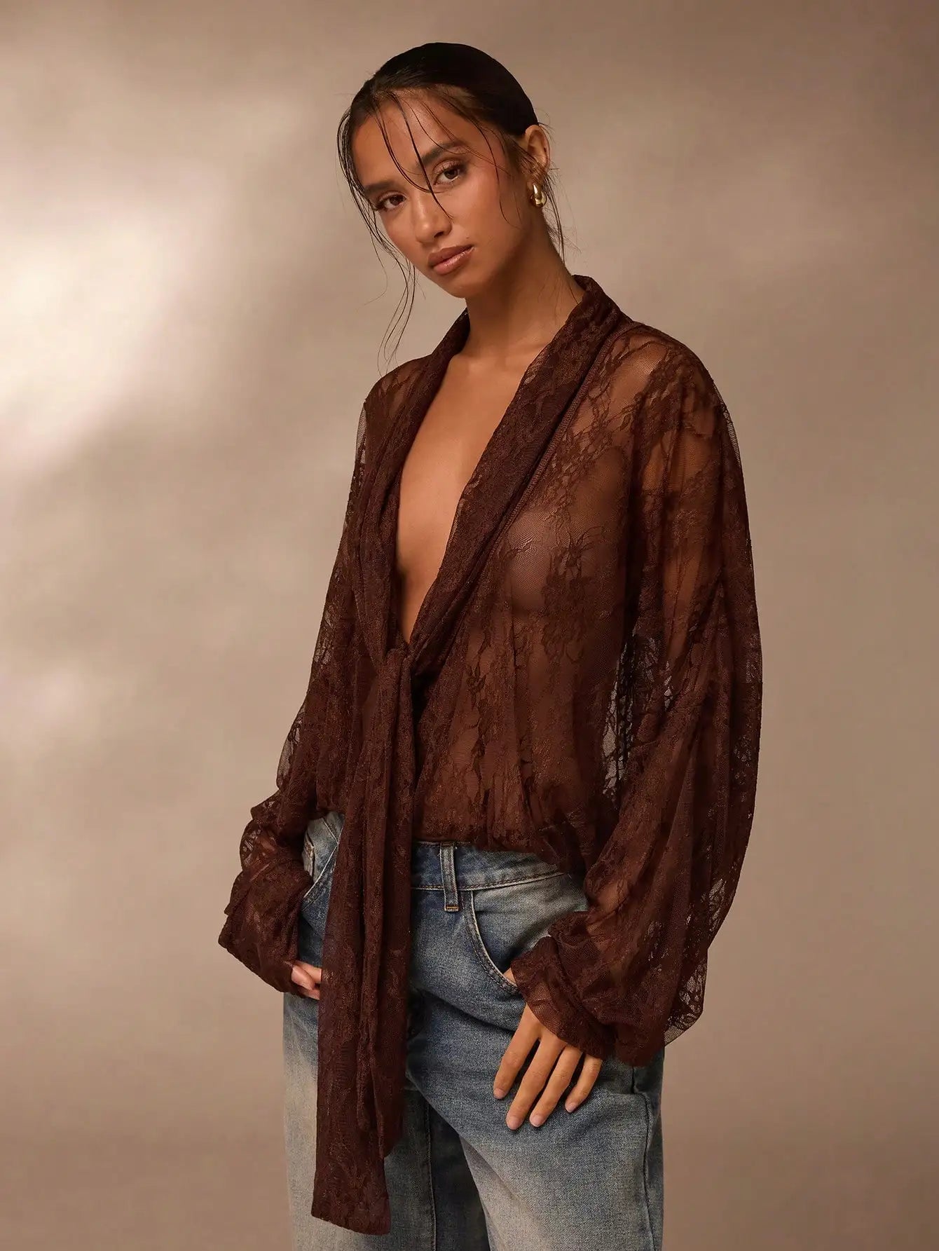 Lace Sheer Blouse for Women V Neck Long Sleeve Top