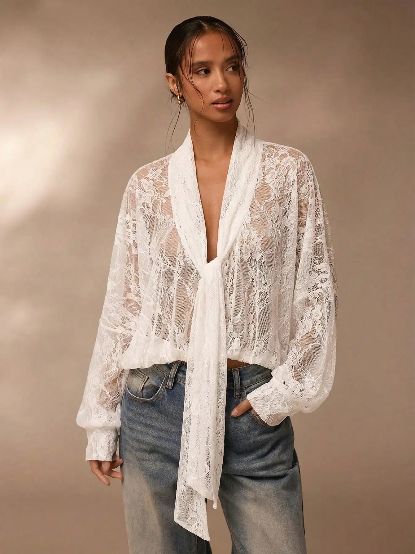 Lace Sheer Blouse for Women V Neck Long Sleeve Top