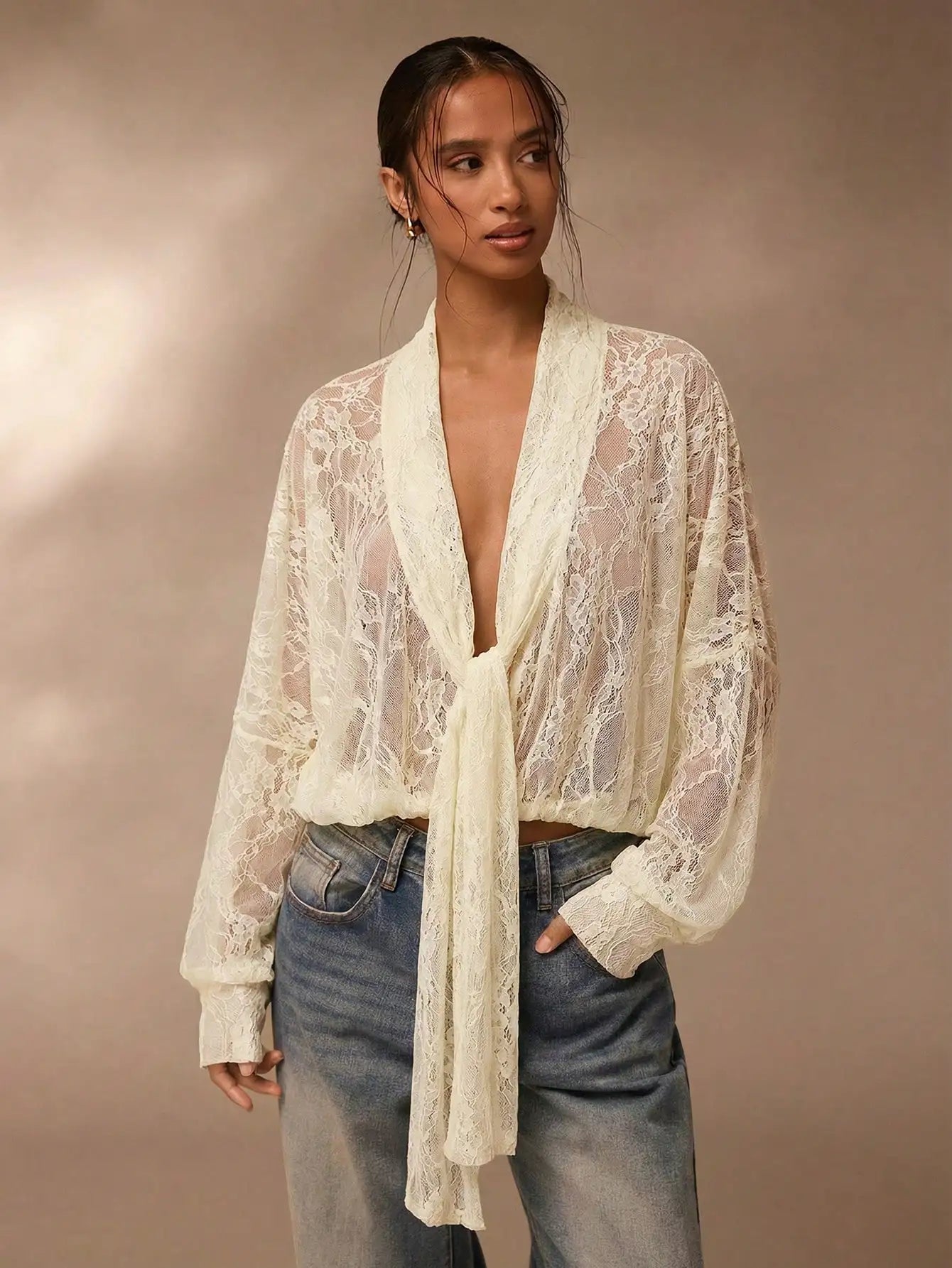 Lace Sheer Blouse for Women V Neck Long Sleeve Top