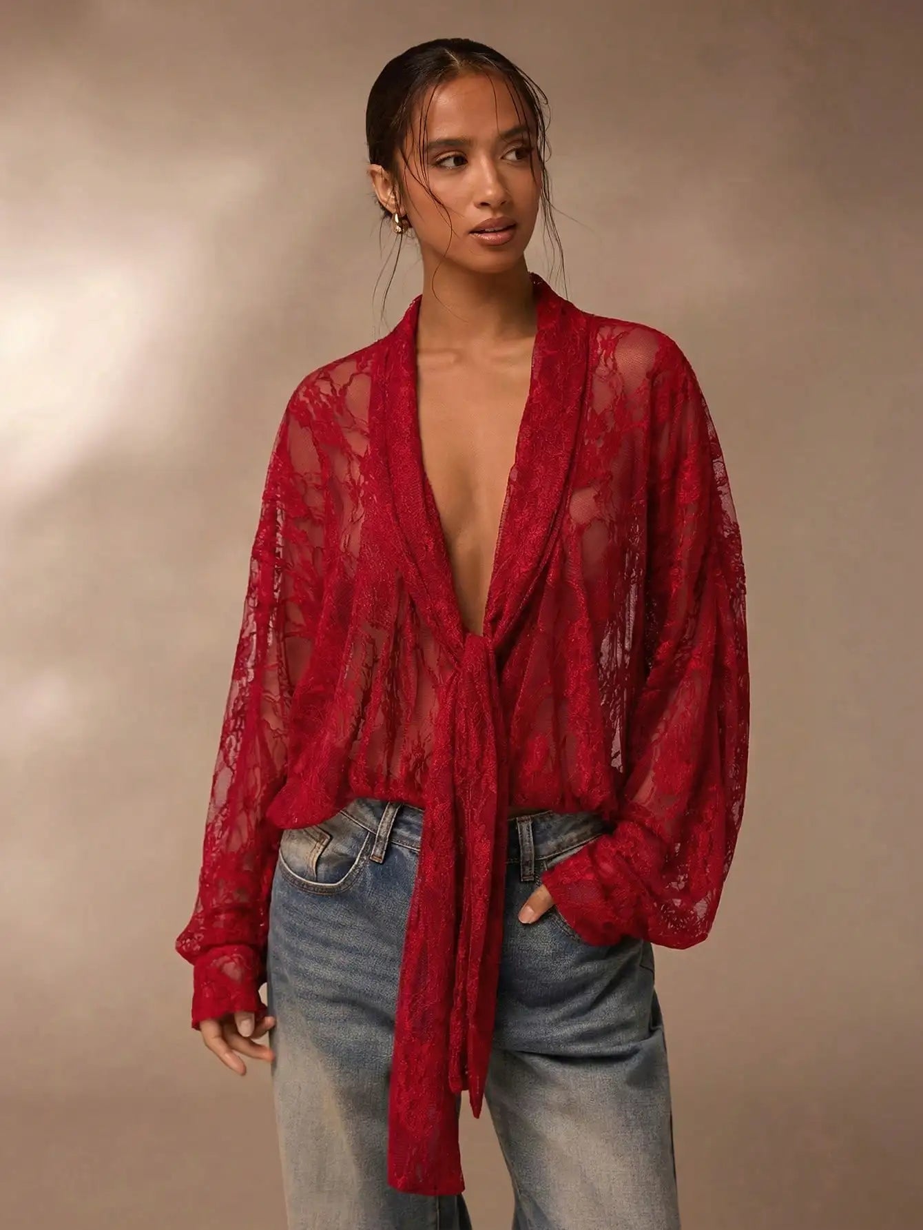 Lace Sheer Blouse for Women V Neck Long Sleeve Top